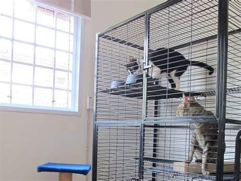 Pet Cage/Run for Raising or Training Cats or Dogs in Courtyard or Indoor