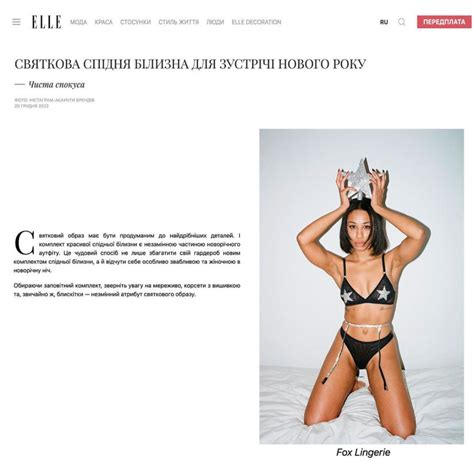 Women S Underwear Bra And Panties Set Bridal Lingerie Swimwear Bodysuit And Corsets Fox