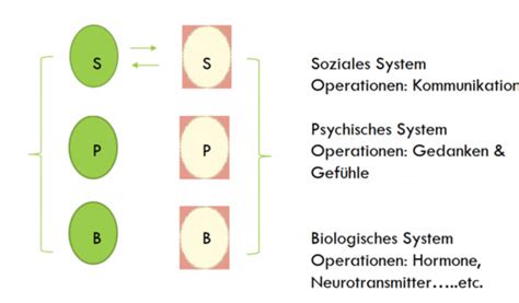 Systemische Therapie Flashcards Quizlet