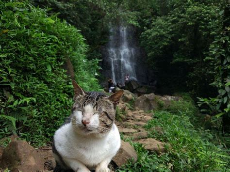 Curug Cilember Bogor Lokasi Harga Tiket Dan Wahana Wisata