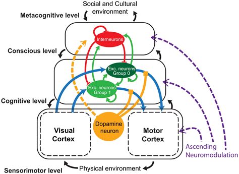 Semantic Network Model Of Memory