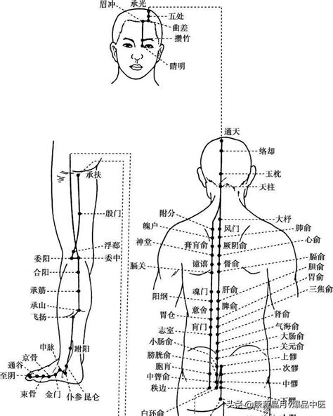 十四经脉背诵歌诀 知乎