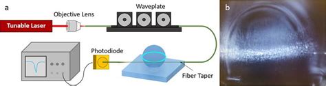 A Schematic Illustration Of The Experimental Set Up For The