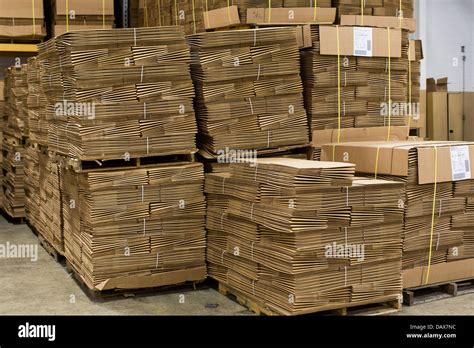 An Industrial Warehouse Full Of Cardboard Boxes On Shelving Stock Photo