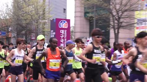 전국 대구 홍준표 대구마라톤 미국 보스턴마라톤 능가하도록 육성 Ytn