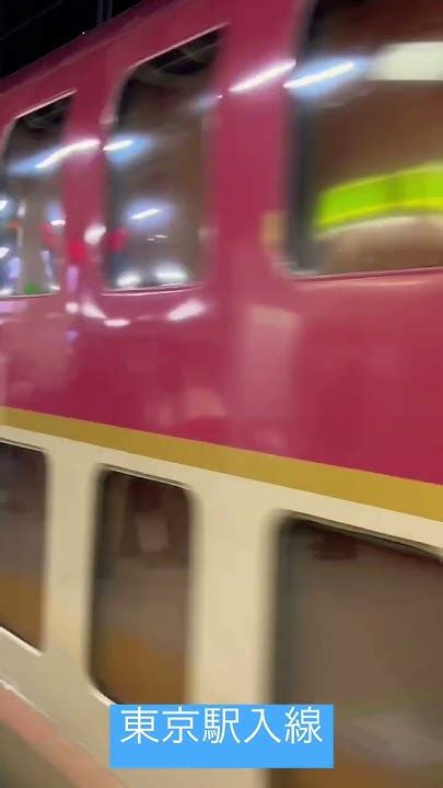 【サンライズ瀬戸】東京駅入線a寝台シングルデラックス乗車 Shortsサンライズ瀬戸 サンライズ Sunrise 東京駅 A寝台