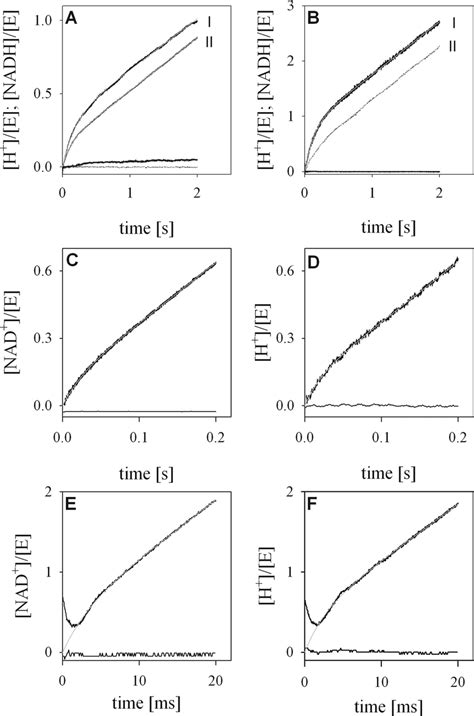 Stopped Flow Time Courses Of Proton Release Uptake And Nad H Formation