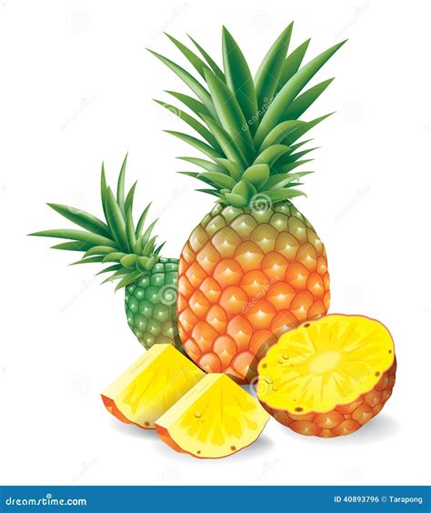 Fresh Pineapple With Slices Vector Illustration Stock Vector Image