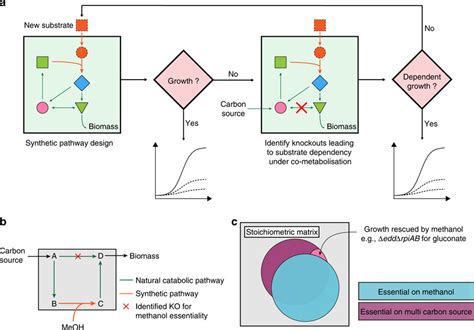 Strategy For Exogenous Substrate Utilization A Introduction Of A