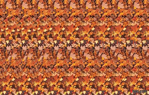 3d Optical Illusions Stereograms