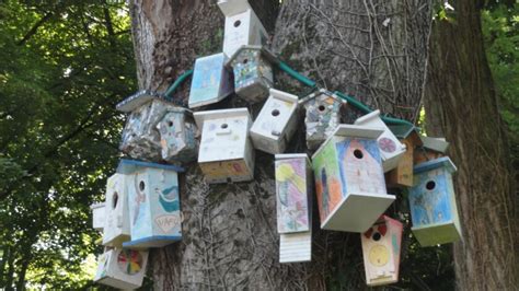 Comment Construire Un Nichoir Pour Les Oiseaux Blog Esprit De Bricolage