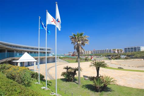 県立湘南海岸公園 観光スポット 片瀬・鵠沼 藤沢市観光公式ホームページ