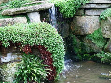 Rock garden water feature | Giochi d'acqua da giardino, Giochi d'acqua ...