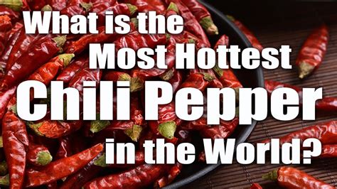 Worlds Most Hottest Chili Pepper Youtube