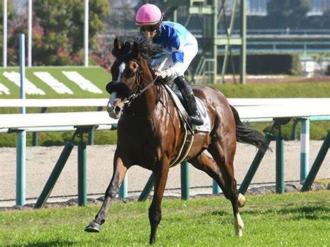 【ホープフルs】前人未踏の大記録へ セレンディピティと武豊騎手が勝利を狙う 競馬ニュース Netkeiba