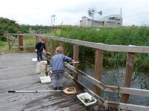 Crossness Nature Reserve – Kids Go Wild (Round one …) | Bexley Wildlife