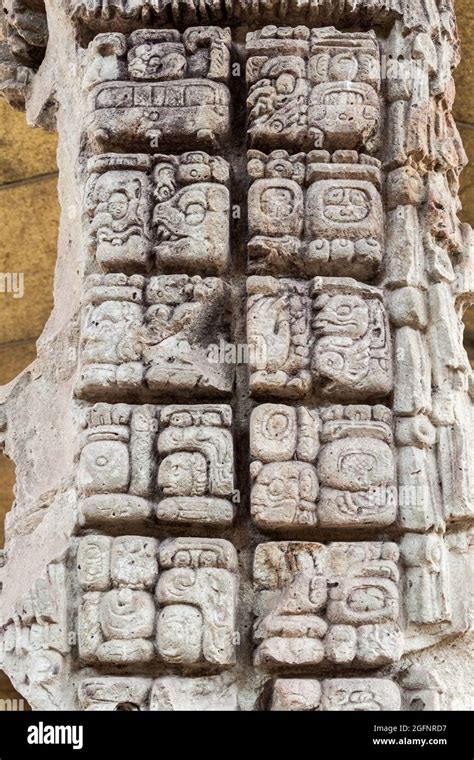 Detalle De Jeroglíficos Mayas En El Sitio Arqueológico De Copán