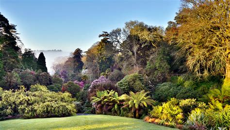 Our Favourite Cornish Winter Gardens The Alverton Truro