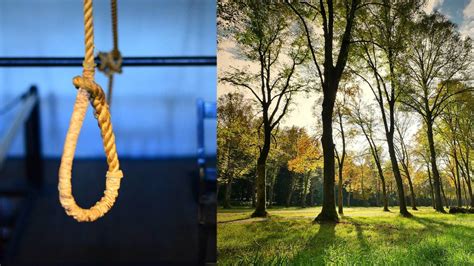 Localizan A Niño Colgado En Un árbol Se Quitó La Vida