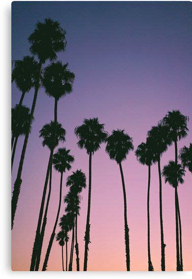 Buy Purple Sunset Palm Trees By Newburyboutique As A T Shirt Classic