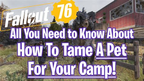 Fallout 76 Tame A Pet For Your Camp All You Need To Know Improved