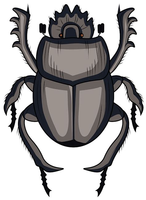 Scarabaeus Dung Beetle Free Vector Clipart Images On