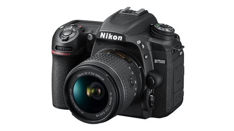 Best DSLR camera 2025: from beginner to pro Digital SLRs | T3