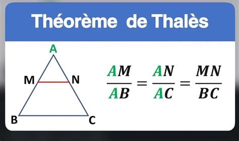 aidez mo svp je n ai pas compris le théorème de Thalès pouvez vous m