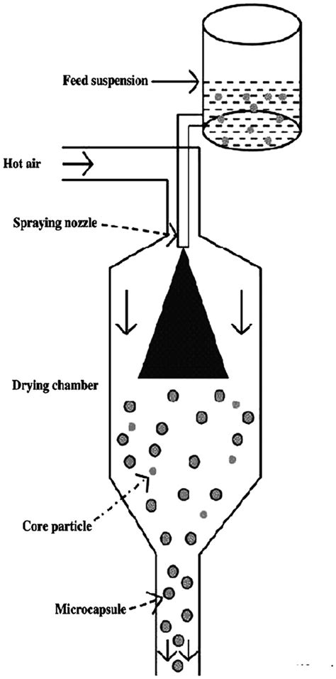 Schematic Illustrating The Process Of Micro Encapsulation By