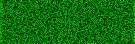 Premium Vector | Lawn grass