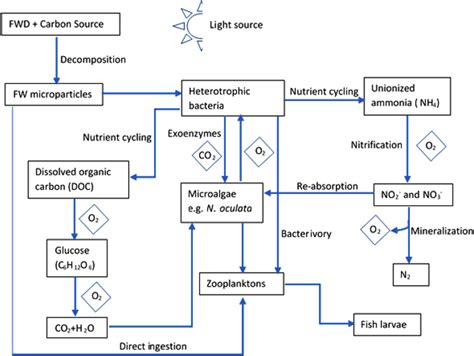 A Schematic Representation Of Diverse Working Mechanisms Involved