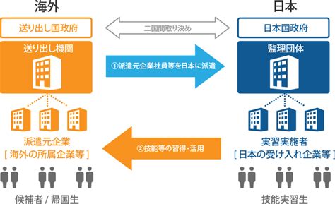 外国人技能実習制度 静岡人材活用協同組合