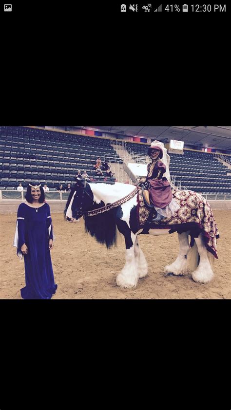 Pin By Sara Ridgeway On Horse Costumes Horse Costumes Horses Concert