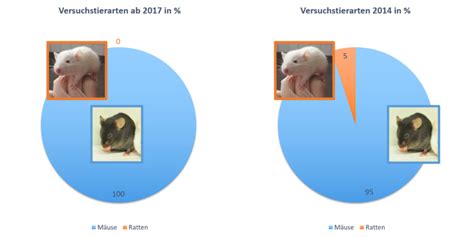 Tierversuche Institut F R Virologie Und Immunbiologie