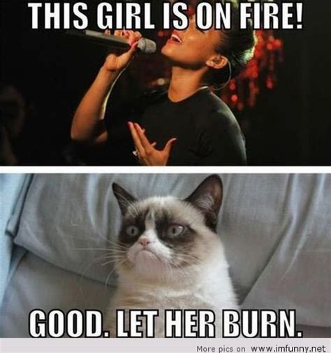 Grumpy cat new meme