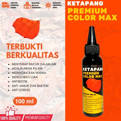 Jual Ekstrak Ketapang Laut Super Pekat 100ml Shopee Indonesia