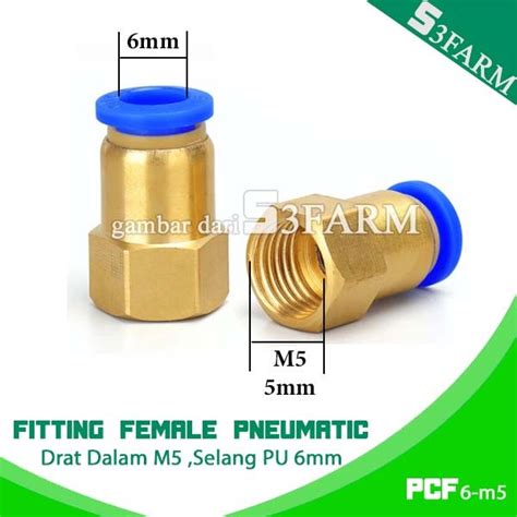 Jual FITTING LURUS FEMALE PNEUMATIC SLIP LOCK SELANG 6MM DRAT M5