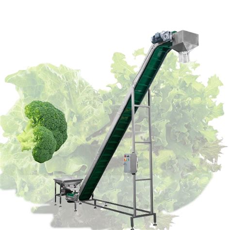 Fresh Vegetables Fruit Broccoli Leaf Factory Conveyor Confezionatrice