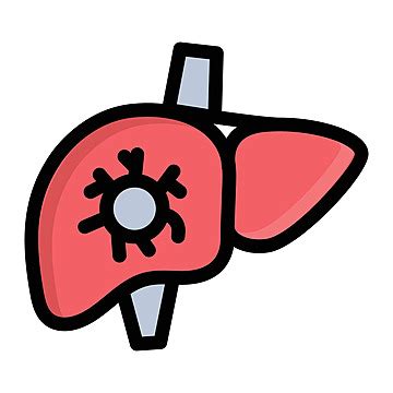 Liver Hope Icon Disease Vector Hope Icon Disease Png And Vector With