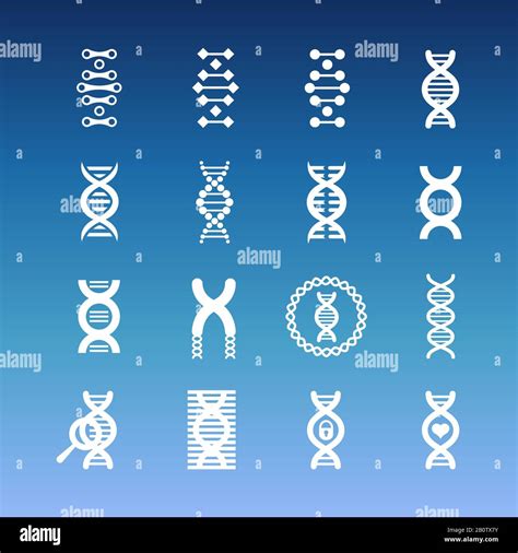 Iconos Del Vector Espiral De ADN Conjunto De Iconos Medicinales Y