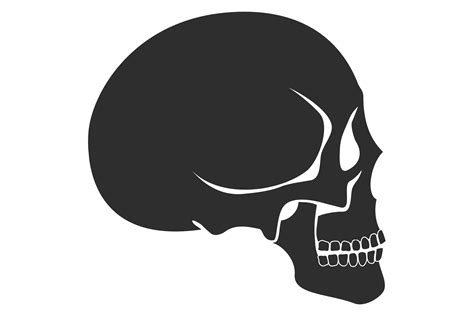 Black Human Skull Icon Head Bone Anatom Graphic By Microvectorone