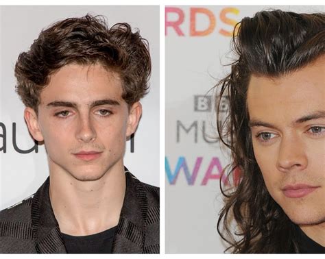 Why the Timothée Chalamet and Harry Styles interview is so important ...