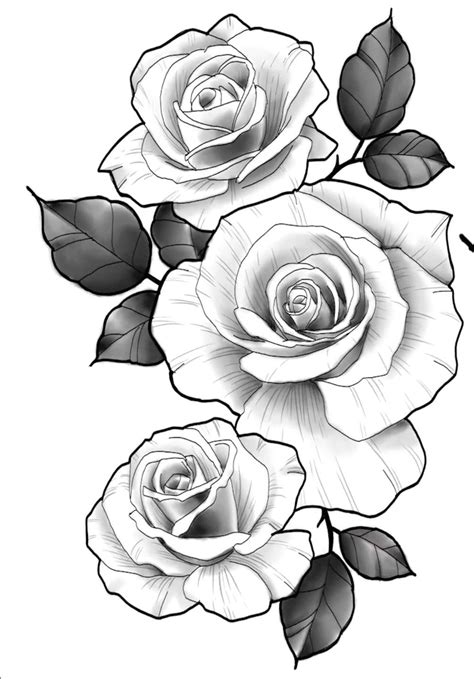 Preto E Branco Desenhos De Rosas Para Tattoo O Que Voc Achou Das