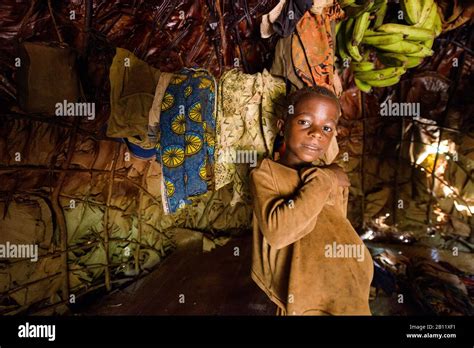 Baka pygmies of the equatorial rainforest, Cameroon, Africa Stock Photo ...