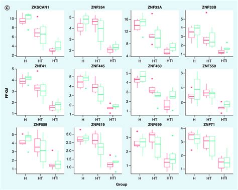 Expression Levels Of Znf Genes Expression And Its Correlation With