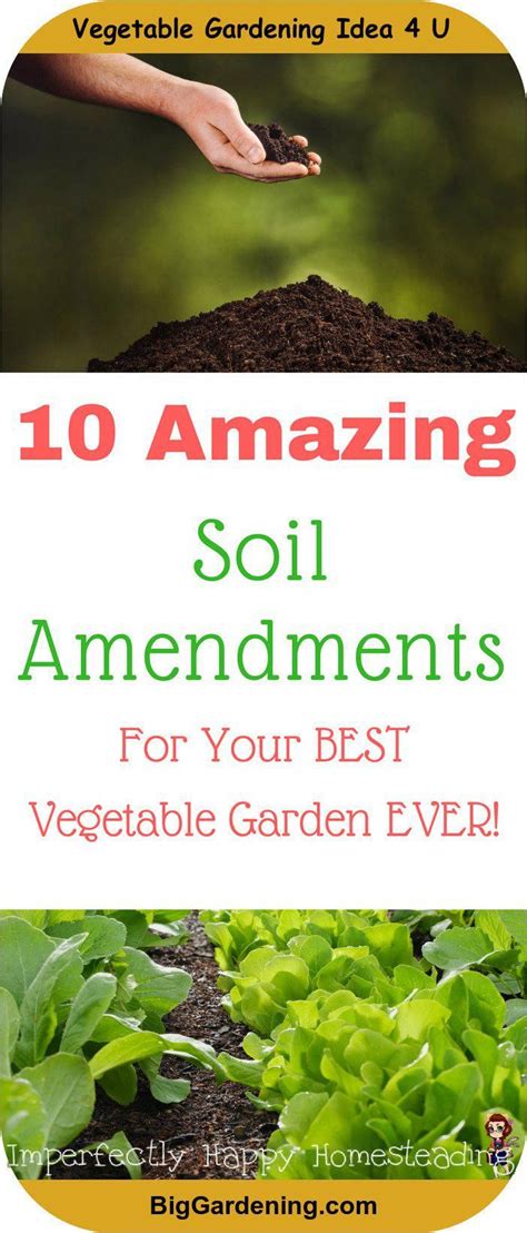 How To Choose The Best Soil Amendments For Vegetable Gardens Green