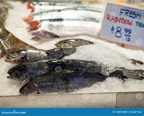 Fresh Rainbow Trout For 899 Usd At A Fisherman S Market Place Stock