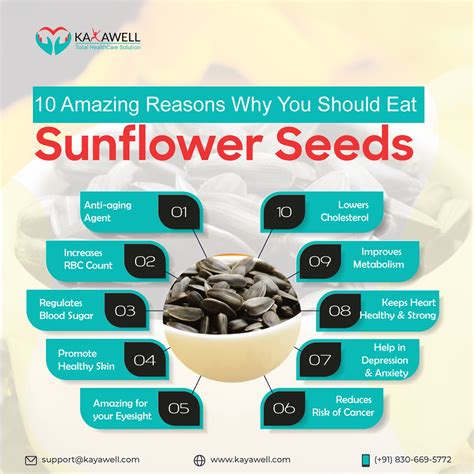 Health Benefits Of Sunflower Seeds Sunflower Seeds Contain Flickr