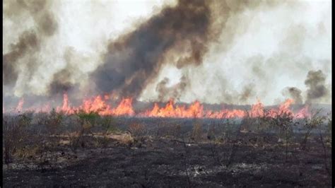 Santa Cruz Suben A 44 Los Incendios Forestales Y Ven Insuficiente El Apoyo Aéreo Ejutv