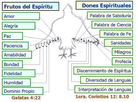 Los Dones Del Espíritu Santo Jesucristo Discipula A Las Naciones Christian Devotions Bible